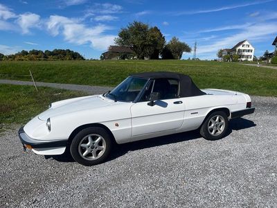 Gebraucht 1988 Alfa Romeo Spider Cabrio | CHF 17’000