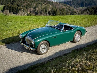 Gebraucht 1954 Austin Healey 100 Cabrio | CHF 77’900