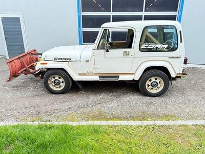 Gebraucht 1989 Jeep Wrangler Laredo SUV | CHF 2’600