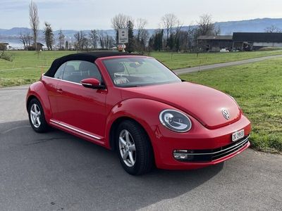 gebraucht VW Beetle Cabriolet 1.4 TSI Design DSG