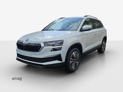 Moon weiss, metallic Neu 2025 Skoda Karoq Dynamic SUV | CHF 41’990