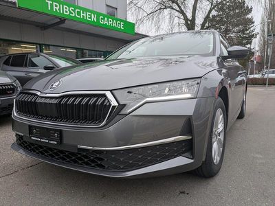 Neu 2025 Skoda Octavia Selection Kombi | CHF 33’900 (Fairer Preis)