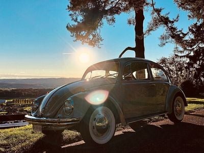 Gebraucht 1968 VW Käfer | CHF 48’000