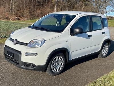 Gebraucht 2024 Fiat Panda | CHF 14’900 (Fairer Preis)