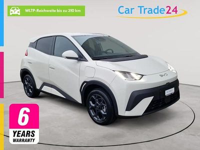 Neu BYD Dolphin Surf Comfort 114 kW (156 PS) 2026 Weiss Kleinwagen