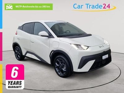 Neu BYD Dolphin Surf Comfort 114 kW (156 PS) 2026 Weiss Kleinwagen