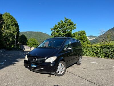 Mercedes Viano