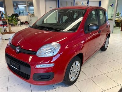 Neu 2025 Fiat Panda City Life Kleinwagen | CHF 12’950 (Superpreis)