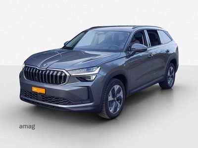 Gebraucht Skoda Kodiaq Selection 193 PS (141 kW) 2024 Graphite grau, metallic SUV