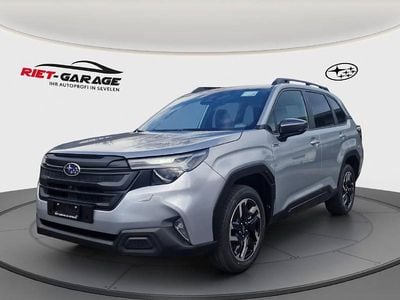 Gebraucht Subaru Forester 136 PS (100 kW) 2024 Grau SUV