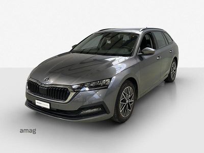Graphite grau, metallic Gebraucht 2024 Skoda Octavia Ambition Kombi | CHF 23’990