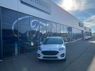 Weiss Gebraucht 2024 Ford Kuga ST-Line SUV | CHF 29’900 (Fairer Preis)