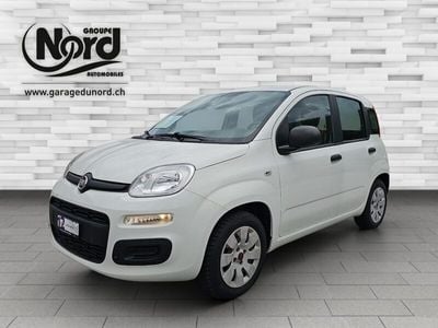 Weiss Gebraucht 2019 Fiat Panda Easy Kleinwagen | CHF 9’900 (Fairer Preis)