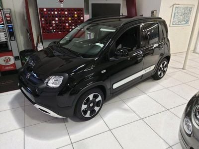 Neu Fiat Panda Cross Cross 70 PS (51 kW) 2025 Weiss Kleinwagen