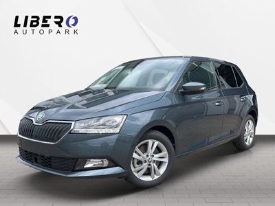 gebraucht Skoda Fabia 1.0 TSI Style DSG