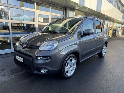 Gebraucht Fiat Panda City Life 71 PS (52 kW) 2023 Grau Kleinwagen