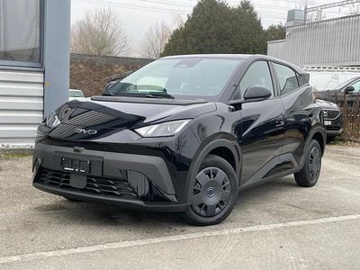 Neu BYD Dolphin Surf Active 64 kW (88 PS) 2025 Kleinwagen