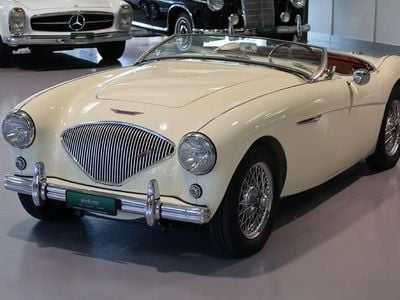 Gebraucht 1954 Austin Healey 100 Cabrio | CHF 84’500
