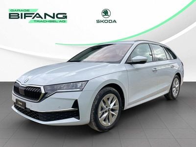 Neu Skoda Octavia Selection 204 PS (150 kW) 2025 Weiss Kombi