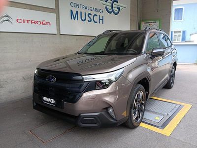 Beige Neu 2025 Subaru Forester SUV | CHF 44’900 (Fairer Preis)