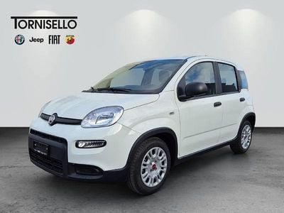 Gebraucht Fiat Panda 70 PS (51 kW) 2024 Limousine
