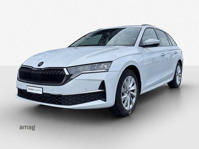 Gebraucht Skoda Octavia Selection 150 PS (110 kW) 2025 Moon weiss, metallic Kombi