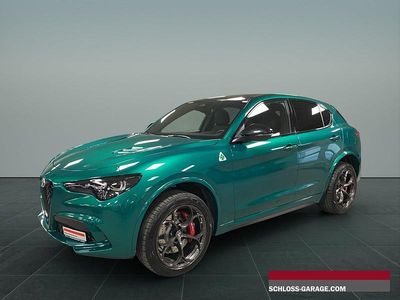Neu Alfa Romeo Stelvio Quadrifoglio 520 PS (382 kW) 2025 SUV