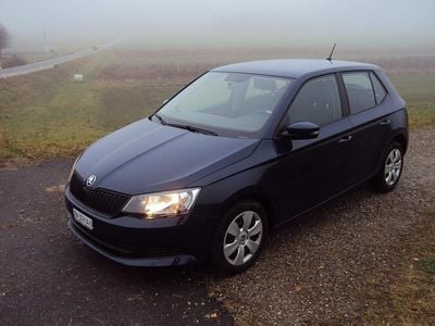 Gebraucht Skoda Fabia Active 75 PS (55 kW) 2017