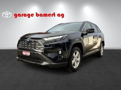 Gebraucht Toyota RAV4 Hybrid Premium 222 PS (163 kW) 2024 Schwarz SUV