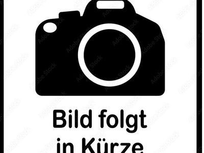 Gebraucht 2024 Dodge Ram Limited Abholung | CHF 84’900