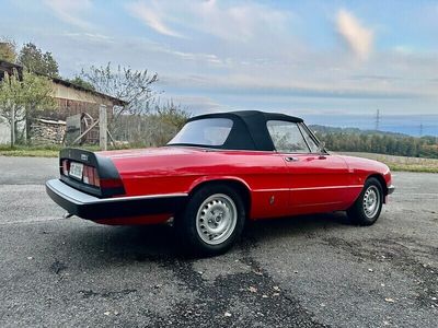 Gebraucht Alfa Romeo Spider 128 PS (94 kW) 1983 Cabrio