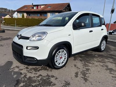 Gebraucht Fiat Panda City Life 70 PS (51 kW) 2024 Kleinwagen