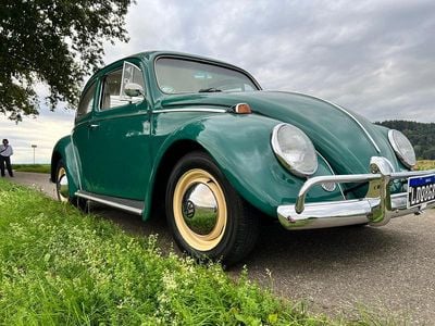 Gebraucht 1966 VW Käfer | CHF 27’880