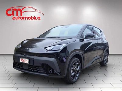 Neu BYD Dolphin Surf Comfort 114 kW (156 PS) 2026 Schwarz Kleinwagen