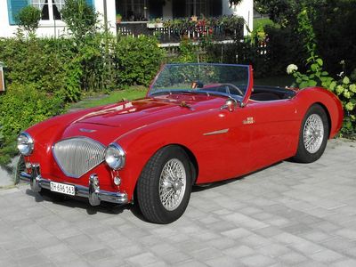 Gebraucht Austin Healey 100 1955 Cabrio