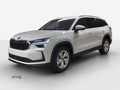 Neu Skoda Kodiaq Dynamic 204 PS (150 kW) 2026 SUV