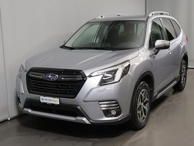 Silber Gebraucht 2023 Subaru Forester SUV | CHF 29’700
