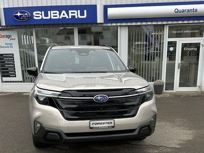 Gold Neu 2025 Subaru Forester SUV | CHF 50’250 (Teuer)
