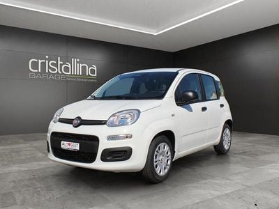 Weiss Neu 2025 Fiat Panda City Life Kleinwagen | CHF 17’900 (Teuer)