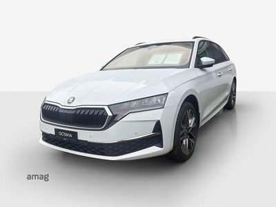 Neu Skoda Octavia Selection 204 PS (150 kW) 2026 Candy weiss, spezial Kombi
