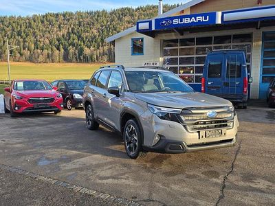 Grau Neu 2025 Subaru Forester SUV | CHF 45’800 (Fairer Preis)