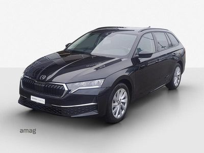 Gebraucht Skoda Octavia Selection 150 PS (110 kW) 2025 Magic schwarz, perleffekt Kombi