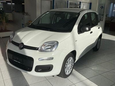 Neu 2025 Fiat Panda City Life Kleinwagen | CHF 12’950 (Superpreis)