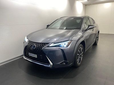 Grau Gebraucht 2022 Lexus UX 250h SUV | CHF 39’900 (Etwas zu teuer)