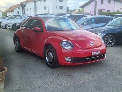 VW Beetle