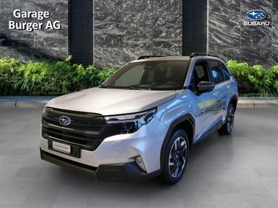 Gebraucht 2024 Subaru Forester SUV | CHF 44’800 (Fairer Preis)