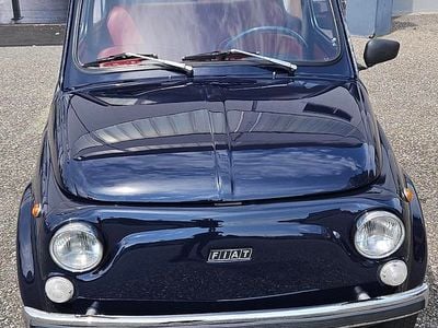 Gebraucht Fiat 500L 18 PS (13 kW) 1971 Van / Kleinbus