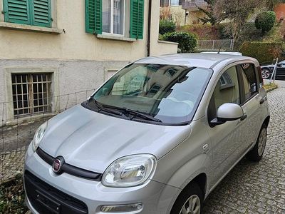 Gebraucht Fiat Panda Easy 85 PS (62 kW) 2017 Kleinwagen