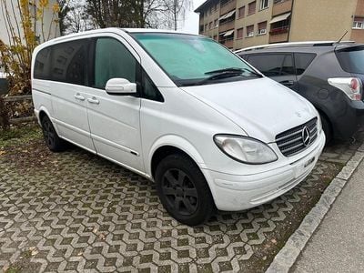 Mercedes Viano