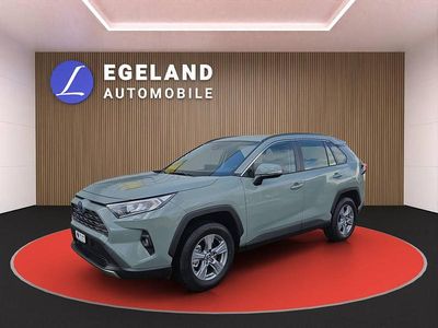 Neu Toyota RAV4 Hybrid Active 222 PS (163 kW) 2025 SUV